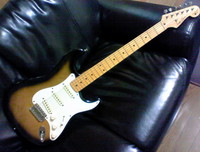 Seymour Duncan DS-100