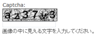 Captchaのフォーム