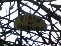 Field of Heaven看板 - FUJI ROCK '09