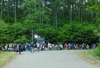 line.jpg